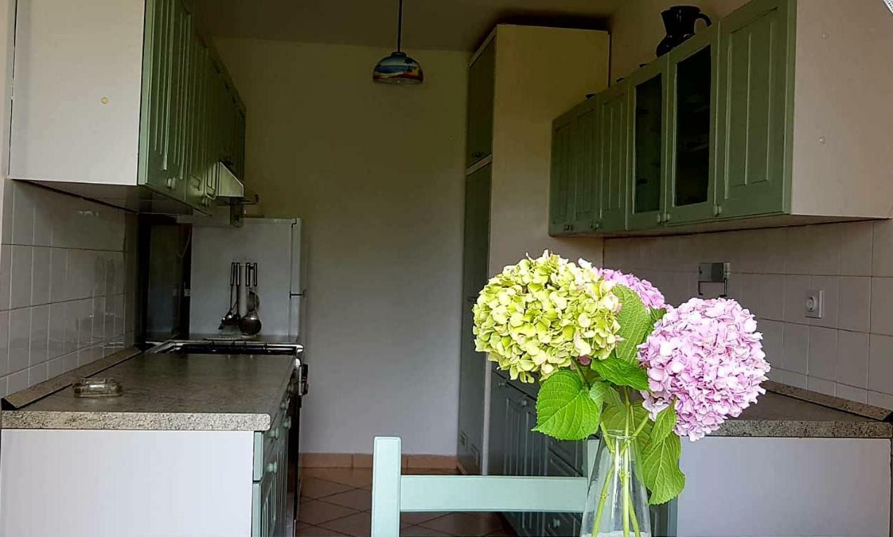 Apartment Adelia