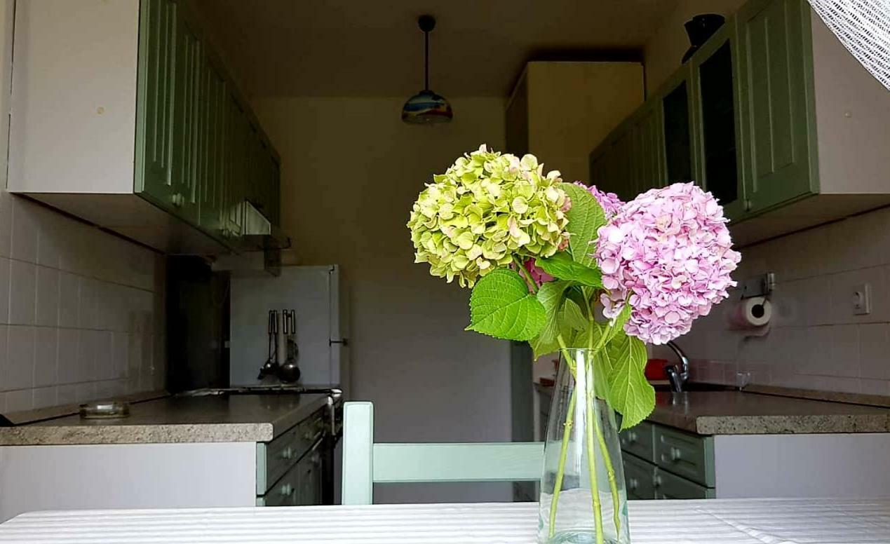 Apartment Adelia *